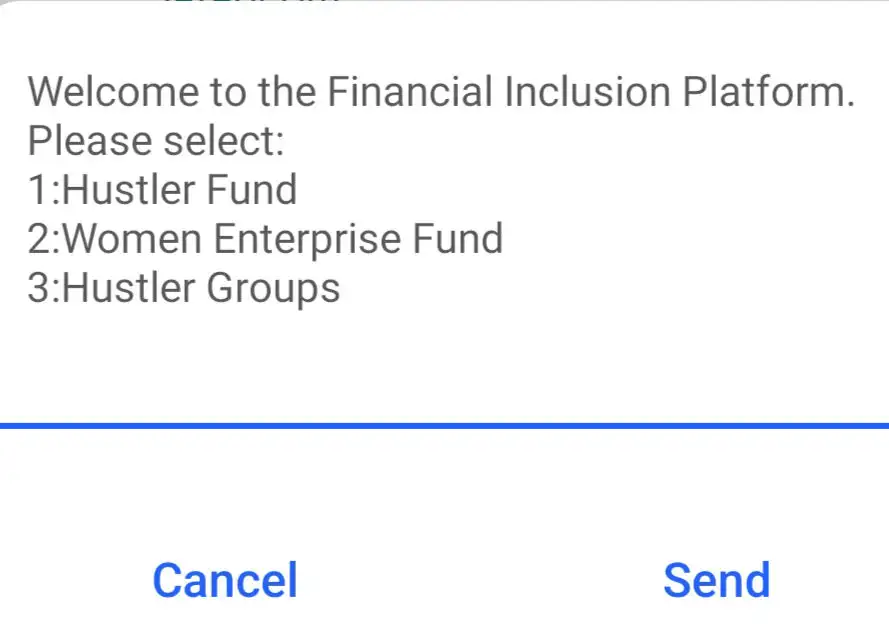 Husler Fund USSD Code select Financial Inclusion Platform