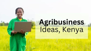 Agribusiness ideas in Kenya crop farming and livestock farming ideas